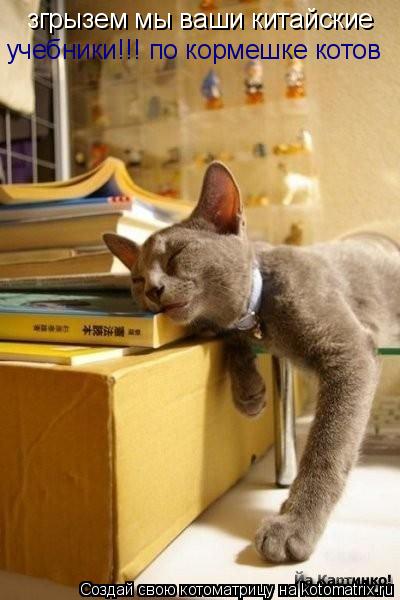згрызем мы ваши китайские учебники!!! по кормешке котов... Котоматрица: згрызем мы ваши китайские учебники!!! по кормешке котов
