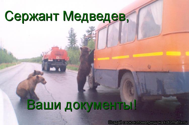 Ваши документы! Сержант Медведев,... Котоматрица: Ваши документы! Сержант Медведев,