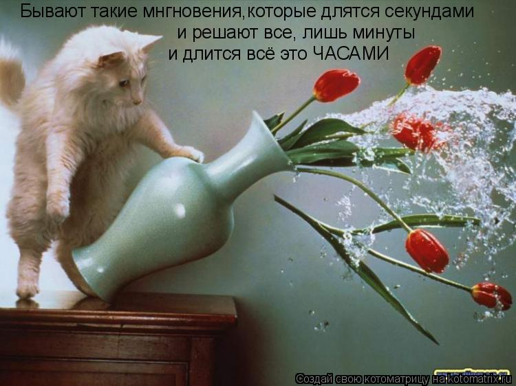и решают все, лишь минуты Бывают такие мнгновения,которые длятся секундами и длится всё это ЧАСАМИ... Котоматрица: и решают все, лишь минуты Бывают такие мнгновения,которые длятся секундами и длится всё это ЧАСАМИ