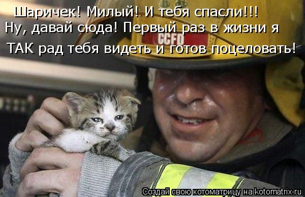 Шаричек! Милый! И тебя спасли!!! ТАК рад тебя видеть и готов поцеловать! Ну, давай сюда! Первый раз в... Котоматрица: Шаричек! Милый! И тебя спасли!!! ТАК рад тебя видеть и готов поцеловать! Ну, давай сюда! Первый раз в жизни я