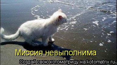 Миссия невыполнима... Котоматрица: Миссия невыполнима