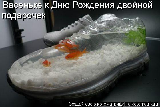Котоматрица: Васеньке к Дню Рождения двойной подарочек