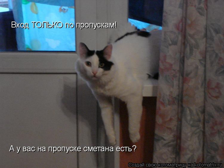 Вход ТОЛЬКО по пропускам! А у вас на пропуске сметана есть?... Котоматрица: Вход ТОЛЬКО по пропускам! А у вас на пропуске сметана есть?