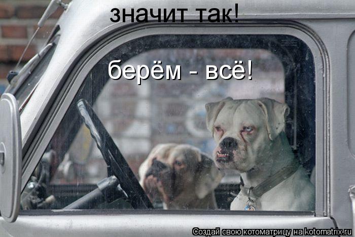 значит так! берём - всё!... Котоматрица: значит так! берём - всё!