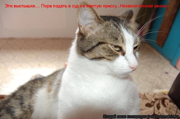 Эти выспышки.... Пора подать в суд на желтую прессу...Никакой личной жизни.. Эти выспышки.... Пора по... Котоматрица: Эти выспышки.... Пора подать в суд на желтую прессу...Никакой личной жизни.. Эти выспышки.... Пора подать в суд на желтую прессу...Никакой личной