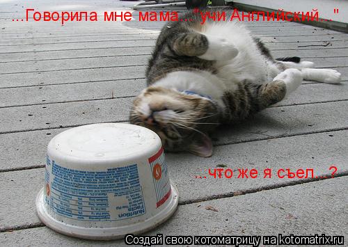 ...Говорила мне мама..."учи Английский..." ...что же я съел...?... Котоматрица: ...Говорила мне мама..."учи Английский..." ...что же я съел...?