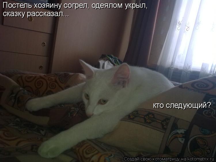 Постель хозяину согрел, одеялом укрыл, сказку рассказал... кто следующий?... Котоматрица: Постель хозяину согрел, одеялом укрыл, сказку рассказал... кто следующий?