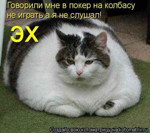 Говорили мне в покер на колбасу не играть а я не слушал! эх... Котоматрица: Говорили мне в покер на колбасу не играть а я не слушал! эх