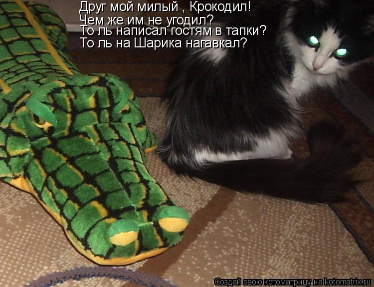 Друг мой милый , Крокодил! Чем же им не угодил? То ль написал гостям в тапки? То ль на Шарика нагавка... Котоматрица: Друг мой милый , Крокодил! Чем же им не угодил? То ль написал гостям в тапки? То ль на Шарика нагавкал?