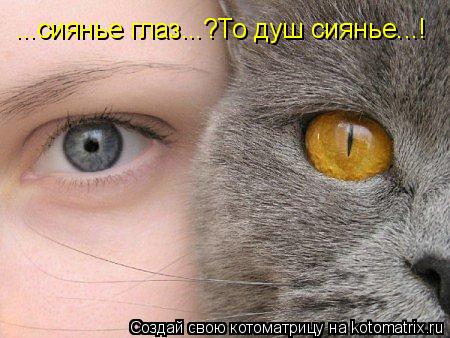 ...сиянье глаз...?То душ сиянье...!... Котоматрица: ...сиянье глаз...?То душ сиянье...!