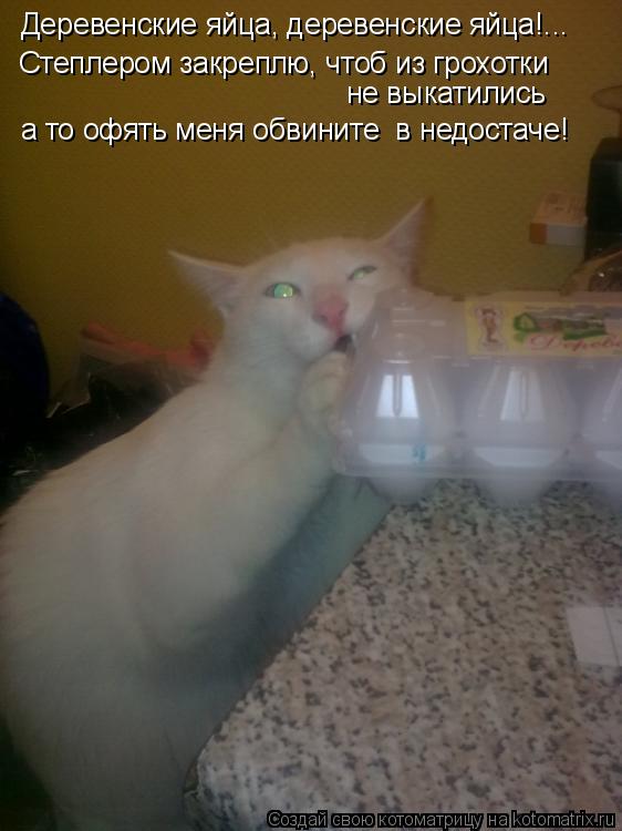 Деревенские яйца, деревенские яйца!... Степлером закреплю, чтоб из грохотки не выкатились а то офять... Котоматрица: Деревенские яйца, деревенские яйца!... Степлером закреплю, чтоб из грохотки не выкатились а то офять меня обвините в недостаче!