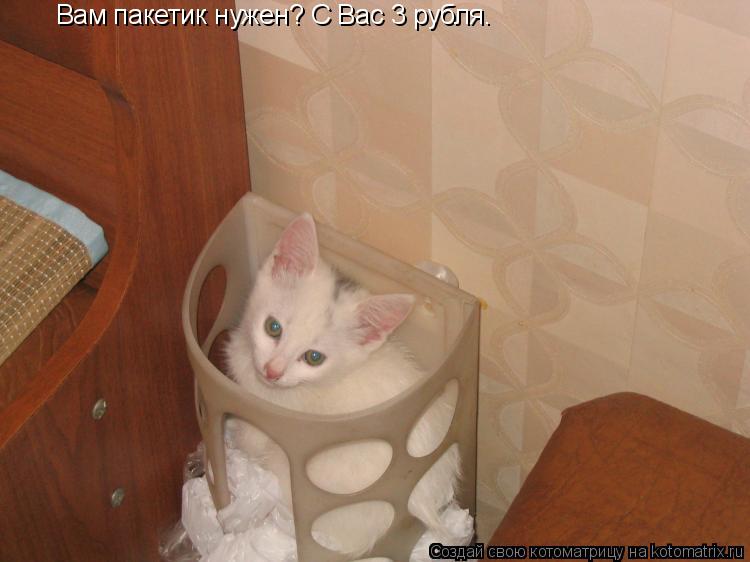 Вам пакетик нужен? С Вас 3 рубля.... Котоматрица: Вам пакетик нужен? С Вас 3 рубля.