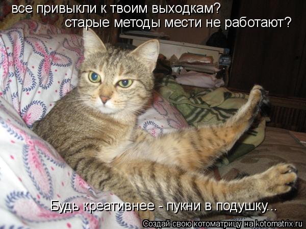 все привыкли к твоим выходкам? старые методы мести не работают? Будь креативнее - пукни в подушку...... Котоматрица: все привыкли к твоим выходкам? старые методы мести не работают? Будь креативнее - пукни в подушку...