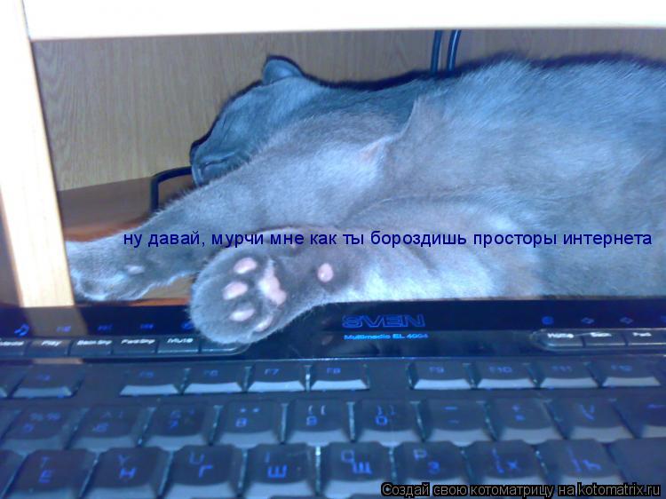 ну давай, мурчи мне как ты бороздишь просторы интернета... Котоматрица: ну давай, мурчи мне как ты бороздишь просторы интернета