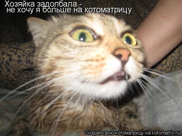 Хозяйка задолбала - не хочу я больше на котоматрицу... Котоматрица: Хозяйка задолбала - не хочу я больше на котоматрицу
