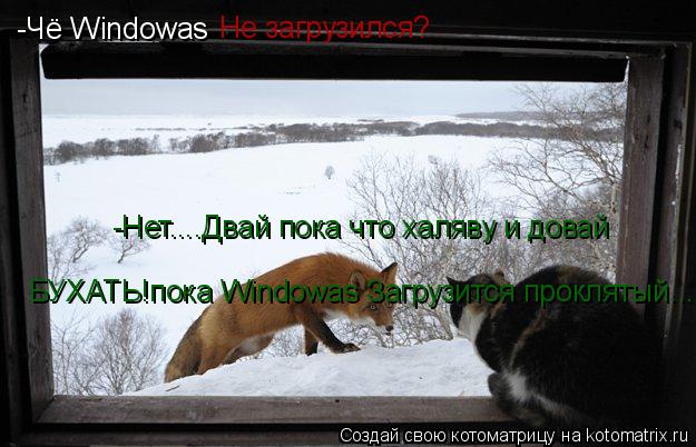 -Чё Windowas Не загрузился? -Нет....Двай пока что халяву и довай БУХАТЬ!пока Windowas Загрузится прок... Котоматрица: -Чё Windowas Не загрузился? -Нет....Двай пока что халяву и довай БУХАТЬ!пока Windowas Загрузится проклятый...