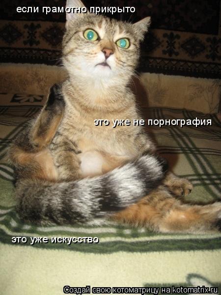 если грамотно прикрыто это уже не порнография это уже искусство... Котоматрица: если грамотно прикрыто это уже не порнография это уже искусство