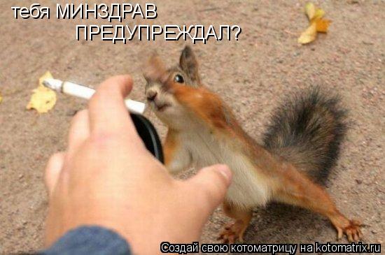 тебя МИНЗДРАВ ПРЕДУПРЕЖДАЛ?... Котоматрица: тебя МИНЗДРАВ ПРЕДУПРЕЖДАЛ?