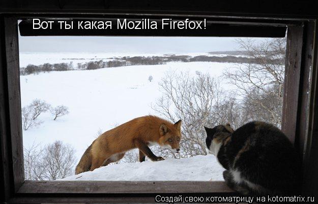 Вот ты какая Mozilla Firefox!... Котоматрица: Вот ты какая Mozilla Firefox!