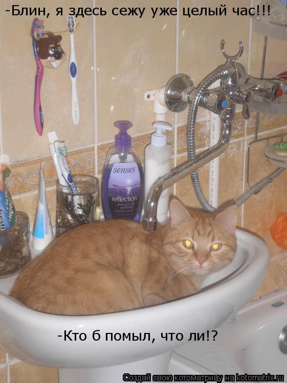 -Блин, я здесь сежу уже целый час!!! -Кто б помыл, что ли!?... Котоматрица: -Блин, я здесь сежу уже целый час!!! -Кто б помыл, что ли!?