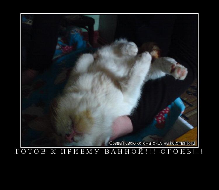 Готов к приёму ванной!!! ОГОНЬ!!! ... Котоматрица: Готов к приёму ванной!!! ОГОНЬ!!!