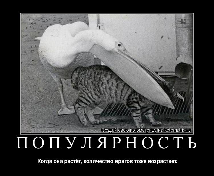 Популярность Когда она растёт, количество врагов тоже возрастает.... Котоматрица: Популярность Когда она растёт, количество врагов тоже возрастает.