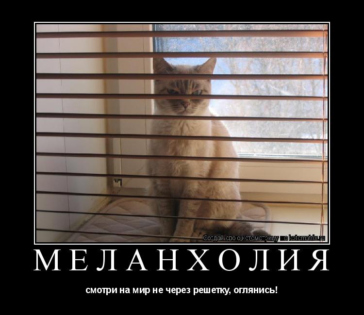Меланхолия смотри на мир не через решетку, оглянись!... Котоматрица: Меланхолия смотри на мир не через решетку, оглянись!