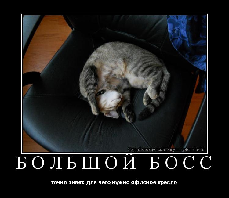 БОЛЬШОЙ БОСС точно знает, для чего нужно офисное кресло... Котоматрица: БОЛЬШОЙ БОСС точно знает, для чего нужно офисное кресло