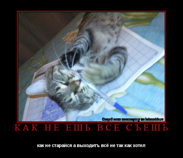 как не ешь всё съешь как не старайся а выходитъ всё не так как хотел... Котоматрица: как не ешь всё съешь как не старайся а выходитъ всё не так как хотел