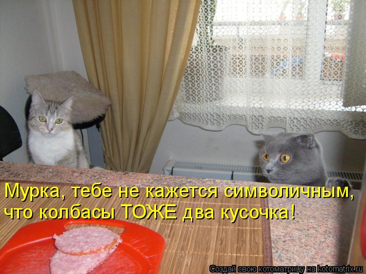 Мурка, тебе не кажется символичным, что колбасы ТОЖЕ два кусочка!... Котоматрица: Мурка, тебе не кажется символичным, что колбасы ТОЖЕ два кусочка!