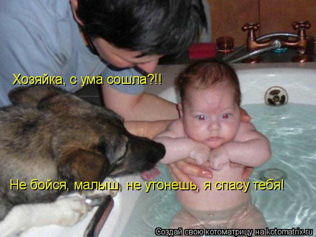 Хозяйка, с ума сошла?!! Не бойся, малыш, не утонешь, я спасу тебя!... Котоматрица: Хозяйка, с ума сошла?!! Не бойся, малыш, не утонешь, я спасу тебя!