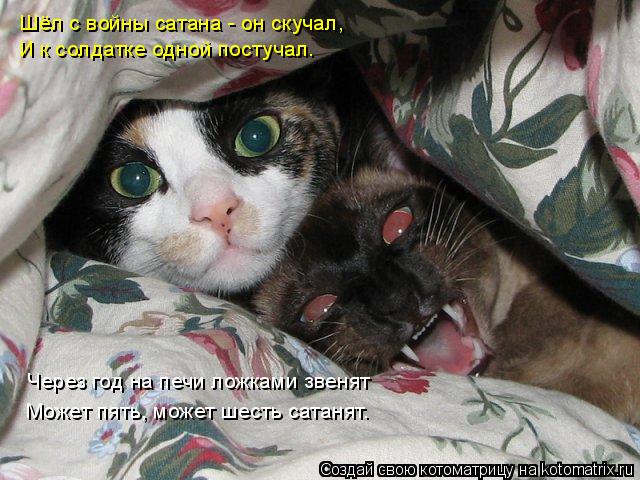 Шёл с войны сатана - он скучал, И к солдатке одной постучал. Через год на печи ложками звенят Может п... Котоматрица: Шёл с войны сатана - он скучал, И к солдатке одной постучал. Через год на печи ложками звенят Может пять, может шесть сатанят.