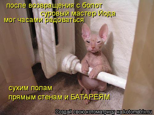 после возвращения с болот суровый мастер Йода мог часами радоваться сухим полам прямым стенам и БАТАР... Котоматрица: после возвращения с болот суровый мастер Йода мог часами радоваться сухим полам прямым стенам и БАТАРЕЯМ