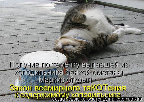 Закон всемирного тяКОТения Получив по темечку выпавшей из холодильника банкой сметаны, Маркиз открыл... Котоматрица: Закон всемирного тяКОТения Получив по темечку выпавшей из холодильника банкой сметаны, Маркиз открыл к содержимому холодильника