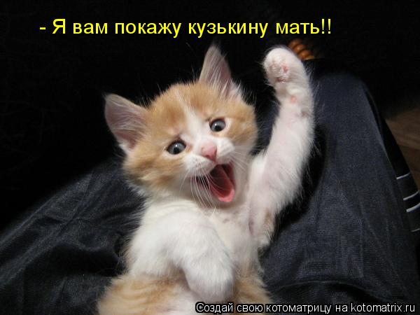 - Я вам покажу кузькину мать!!... Котоматрица: - Я вам покажу кузькину мать!!
