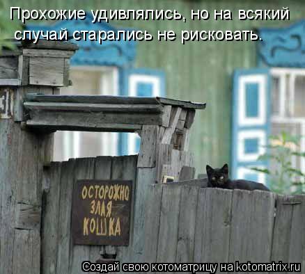 Прохожие удивлялись, но на всякий случай старались не рисковать.... Котоматрица: Прохожие удивлялись, но на всякий случай старались не рисковать.