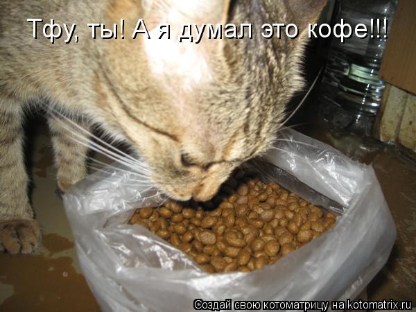 Тфу, ты! А я думал это кофе!!!... Котоматрица: Тфу, ты! А я думал это кофе!!!