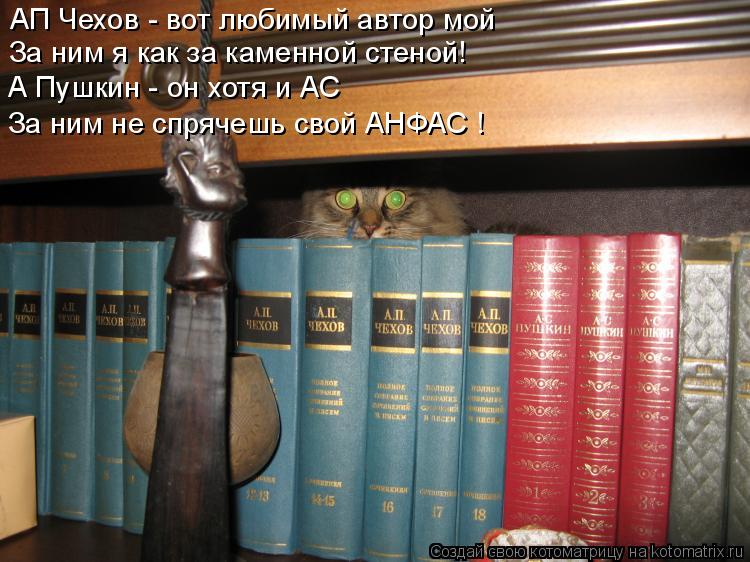 АП Чехов - вот любимый автор мой За ним я как за каменной стеной! А Пушкин - он хотя и АС За ним не с... Котоматрица: АП Чехов - вот любимый автор мой За ним я как за каменной стеной! А Пушкин - он хотя и АС За ним не спрячешь свой АНФАС !
