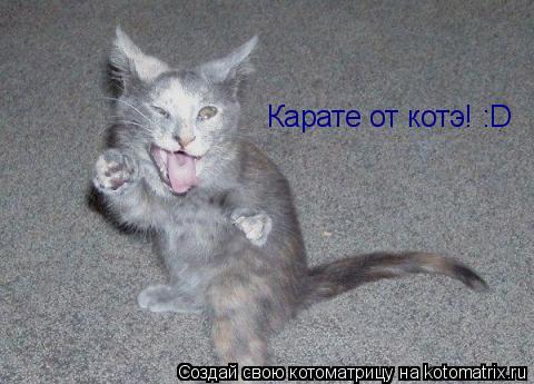 Карате от котэ! :D... Котоматрица: Карате от котэ! :D