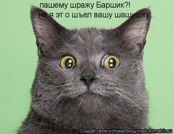 пашему шражу Баршик?! не я эт о шъел вашу шашишку...... Котоматрица: пашему шражу Баршик?! не я эт о шъел вашу шашишку...