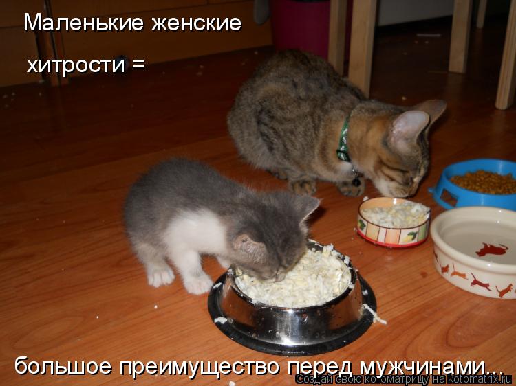 Маленькие женские хитрости = большое преимущество перед мужчинами...... Котоматрица: Маленькие женские хитрости = большое преимущество перед мужчинами...