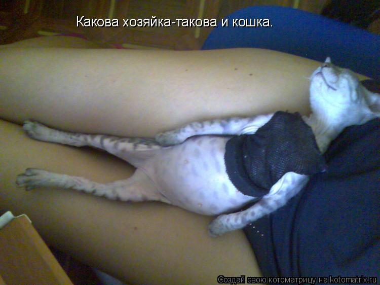 Какова хозяйка-такова и кошка.... Котоматрица: Какова хозяйка-такова и кошка.