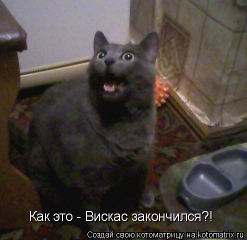 Как это - Вискас закончился?!... Котоматрица: Как это - Вискас закончился?!