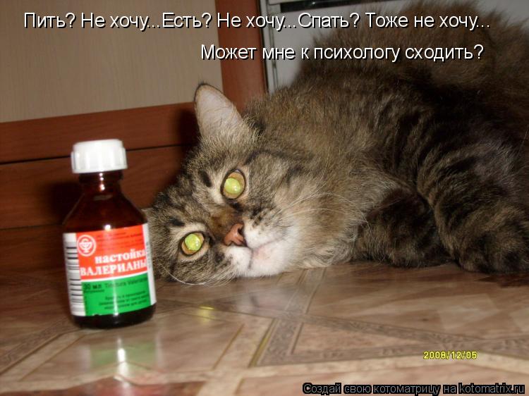 Пить? Не хочу...Есть? Не хочу...Спать? Тоже не хочу... Может мне к психологу сходить?... Котоматрица: Пить? Не хочу...Есть? Не хочу...Спать? Тоже не хочу... Может мне к психологу сходить?