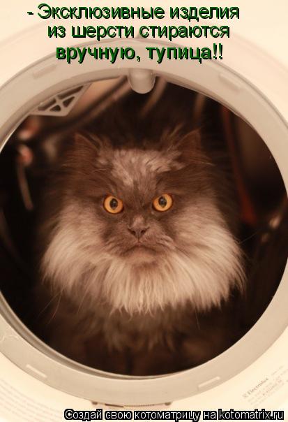 - Эксклюзивные изделия из шерсти стираются вручную, тупица!!... Котоматрица: - Эксклюзивные изделия из шерсти стираются вручную, тупица!!