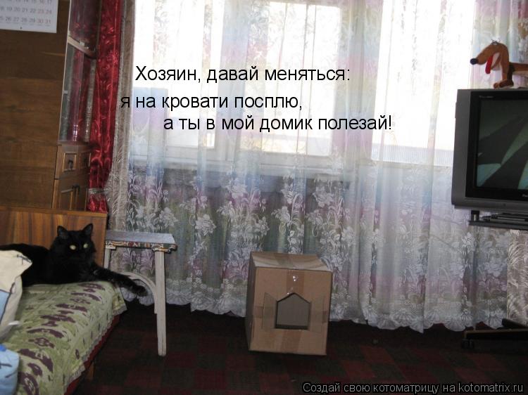 Хозяин, давай меняться: я на кровати посплю, а ты в мой домик полезай!... Котоматрица: Хозяин, давай меняться: я на кровати посплю, а ты в мой домик полезай!