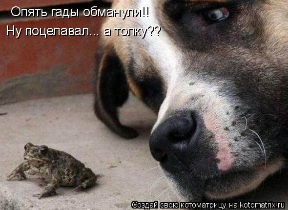 Опять гады обманули!! Ну поцелавал... а толку??... Котоматрица: Опять гады обманули!! Ну поцелавал... а толку??