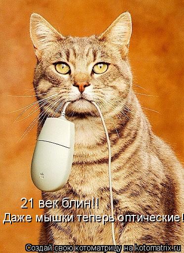 21 век блин!! Даже мышки теперь оптические!!!... Котоматрица: 21 век блин!! Даже мышки теперь оптические!!!