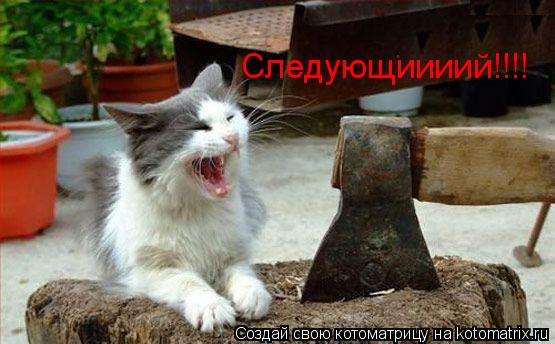 Следующиииий!!!!... Котоматрица: Следующиииий!!!!