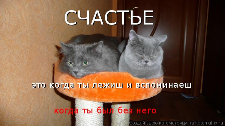 СЧАСТЬЕ это когда ты лежиш и вспоминаеш когда ты был без него... Котоматрица: СЧАСТЬЕ это когда ты лежиш и вспоминаеш когда ты был без него